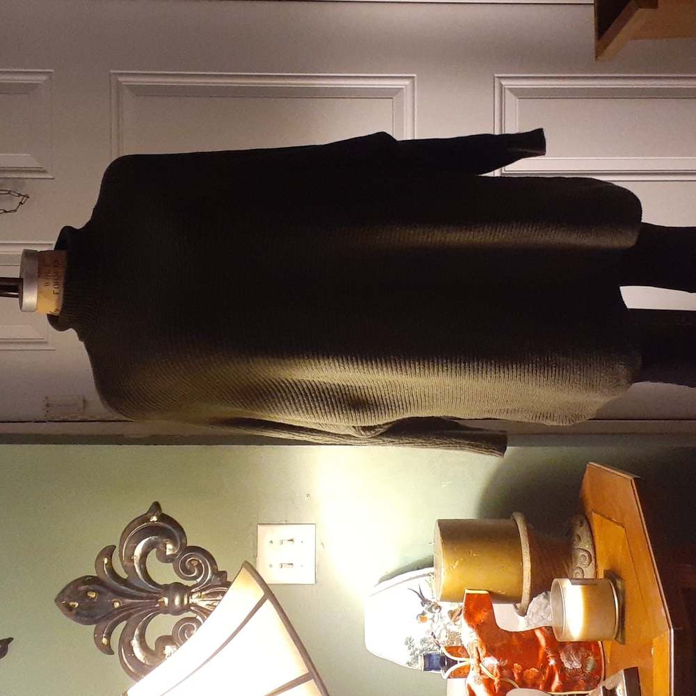Unknown women's turtleneck pullover weather